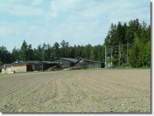 Nächstes Bild