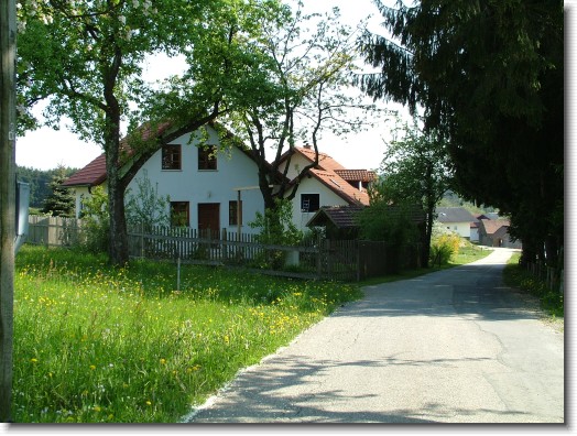 Nächstes Bild