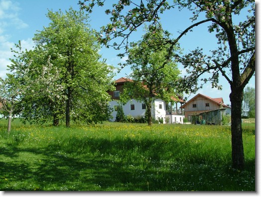 Nächstes Bild