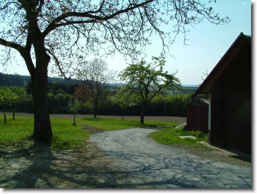 Nächstes Bild