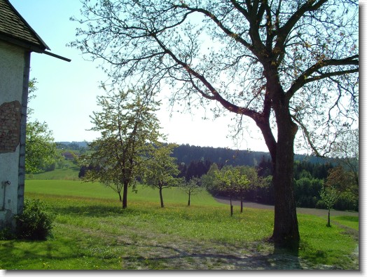 Nächstes Bild