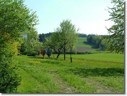 Nächstes Bild