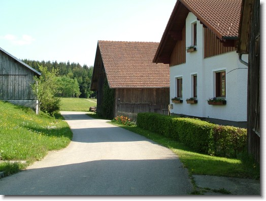 Nächstes Bild