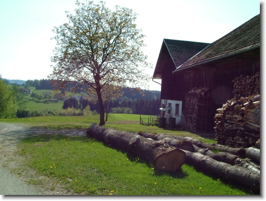 Nächstes Bild