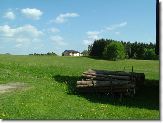 Nächstes Bild