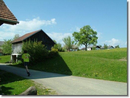Nächstes Bild