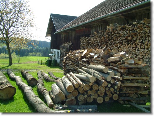 Nächstes Bild