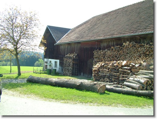 Nächstes Bild