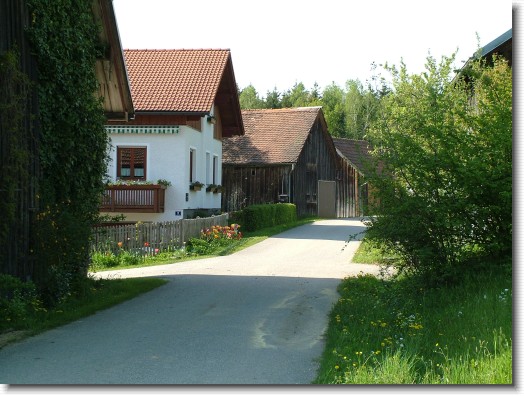 Nächstes Bild