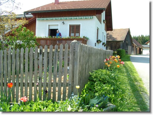 Nächstes Bild