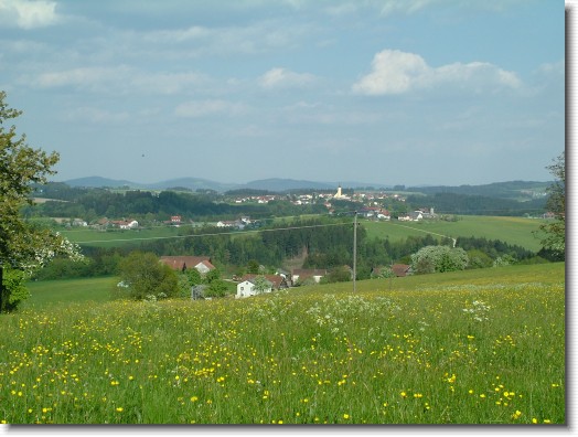 Nächstes Bild
