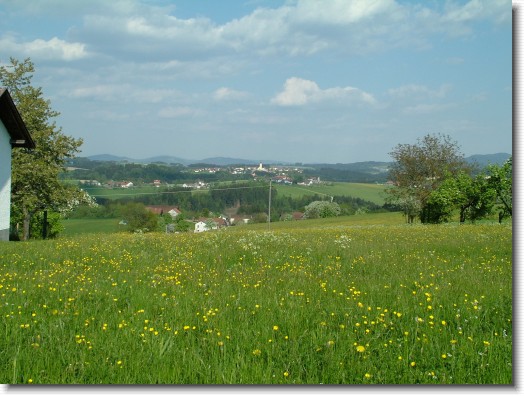 Nächstes Bild