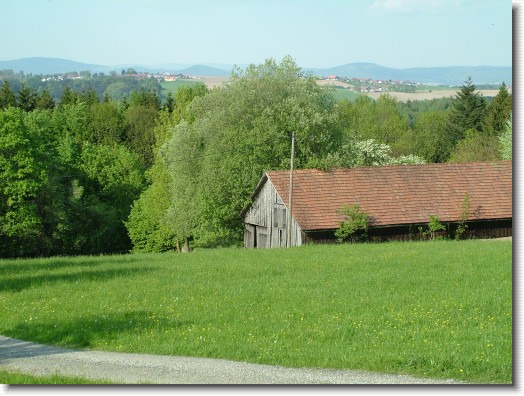 Nächstes Bild