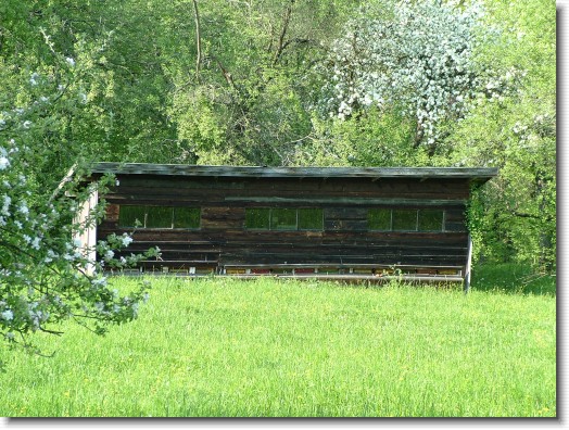 Nächstes Bild