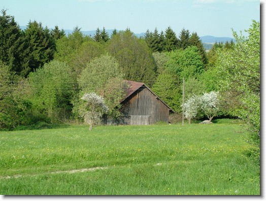 Nächstes Bild