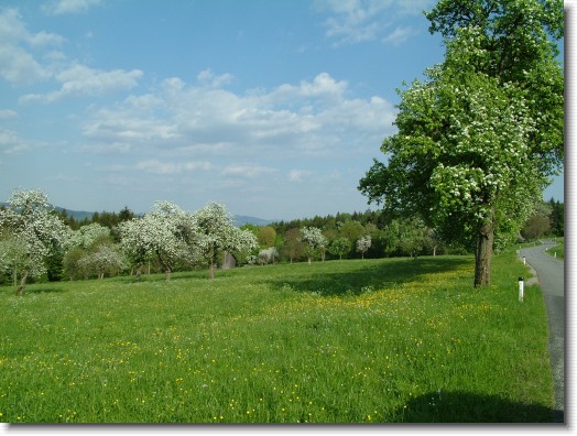 Nächstes Bild