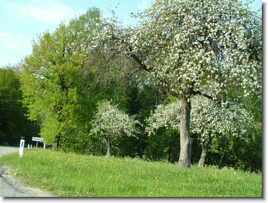 Nächstes Bild