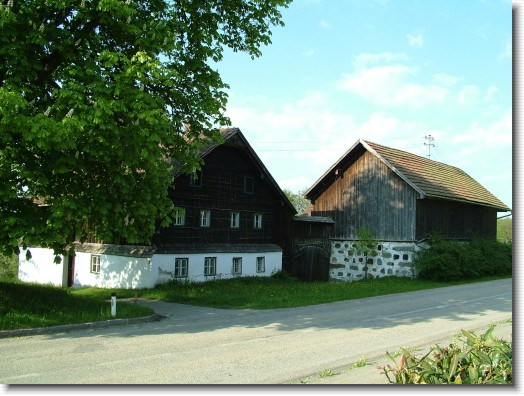 Nächstes Bild