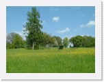 freinberger_fruehling031 * 2016 x 1512 * (990KB)