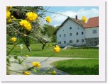 freinberger_fruehling036 * 2016 x 1512 * (879KB)
