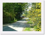 freinberger_fruehling037 * 2016 x 1512 * (828KB)