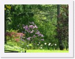 freinberger_fruehling038 * 2016 x 1512 * (840KB)