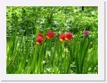 freinberger_fruehling039 * 2016 x 1512 * (808KB)