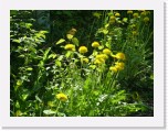 freinberger_fruehling040 * 2016 x 1512 * (869KB)
