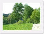 freinberger_fruehling042 * 2016 x 1512 * (944KB)