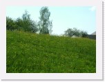 freinberger_fruehling044 * 2016 x 1512 * (934KB)