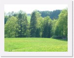 freinberger_fruehling059 * 2016 x 1512 * (903KB)