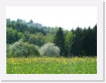 freinberger_fruehling061 * 2016 x 1512 * (1.09MB)