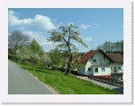 freinberger_fruehling062 * 2016 x 1512 * (899KB)