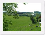 freinberger_fruehling064 * 2016 x 1512 * (1.05MB)