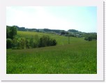 freinberger_fruehling070 * 2016 x 1512 * (1.11MB)