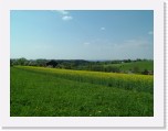 freinberger_fruehling076 * 2016 x 1512 * (1022KB)