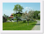 freinberger_fruehling084 * 2016 x 1512 * (894KB)