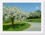 freinberger_fruehling090 * 2016 x 1512 * (824KB)