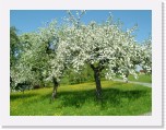 freinberger_fruehling091 * 2016 x 1512 * (877KB)