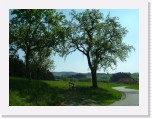 freinberger_fruehling092 * 2016 x 1512 * (801KB)