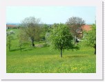 freinberger_fruehling096 * 2016 x 1512 * (924KB)