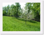 freinberger_fruehling103 * 2016 x 1512 * (888KB)