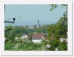 freinberger_fruehling104 * 2016 x 1512 * (786KB)