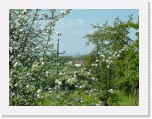 freinberger_fruehling106 * 2016 x 1512 * (882KB)