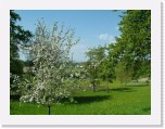 freinberger_fruehling107 * 2016 x 1512 * (839KB)