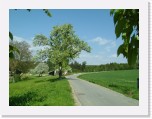freinberger_fruehling108 * 2016 x 1512 * (837KB)