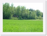 freinberger_fruehling109 * 2016 x 1512 * (985KB)