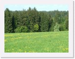 freinberger_fruehling110 * 2016 x 1512 * (889KB)