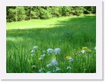 freinberger_fruehling114 * 2016 x 1512 * (875KB)