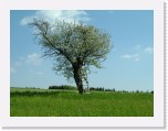 freinberger_fruehling118 * 2016 x 1512 * (871KB)
